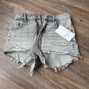 Zara Light Gray Distressed Jean Shorts